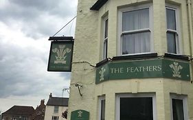 The Feathers